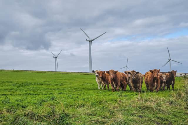 Wind is a woeful form of renewable, writes reader (Picture: George Maciver/Adobe)