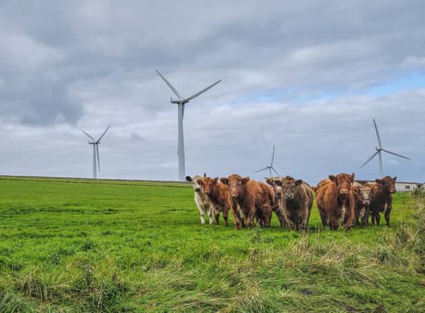 Wind is a woeful form of renewable, writes reader (Picture: George Maciver/Adobe)