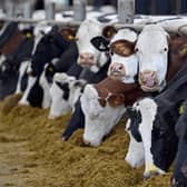 The food sector accounts for about a fifth of Scotland's greenhouse gas emissions (Picture: Jeff J Mitchell/Getty Images)