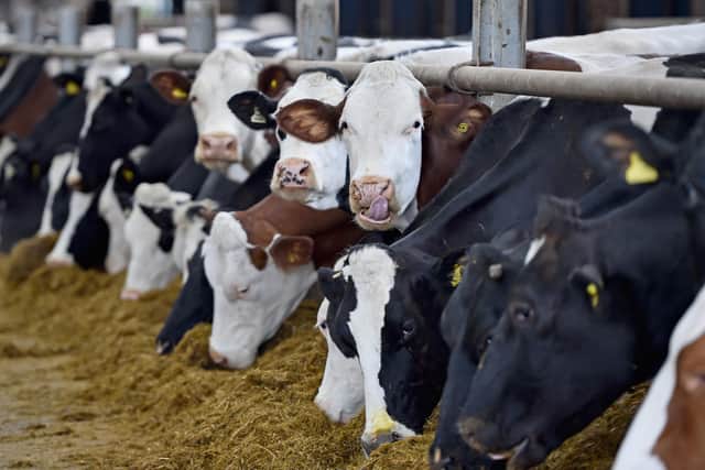 The food sector accounts for about a fifth of Scotland's greenhouse gas emissions (Picture: Jeff J Mitchell/Getty Images)