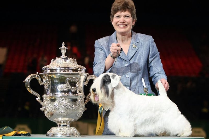 Handler Margery Good and Charmin the Sealyham Terrier celebrate after winning 'Best in Show' at the 2009 Crufts dog show.