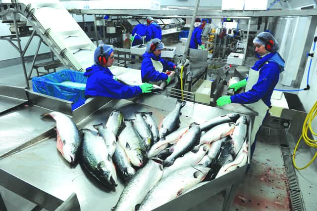 Shepherd and Wedderburn acted for Scottish Sea Farms when it acquired Grieg Seafood’s UK fish farms for £164m. Image: Robert Perry