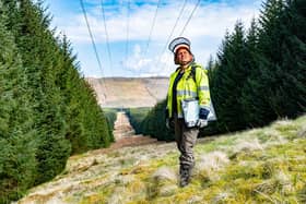 SSEN Transmission is committed to establishing new woodlands to replace those that are cut down (Pic:Stuart Nicol)