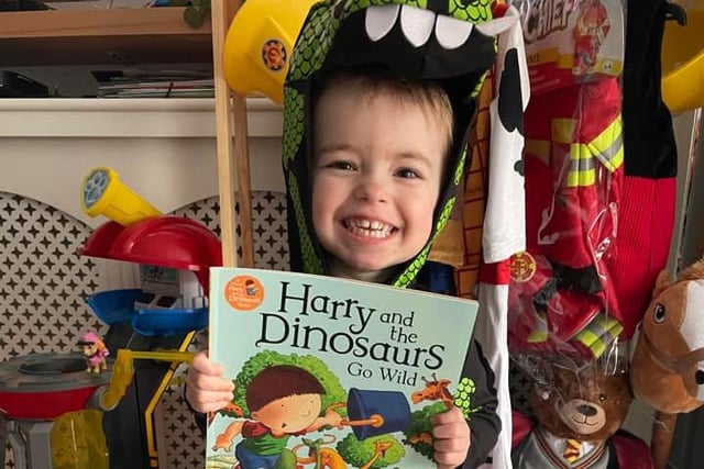 Harry, age 3, dressed as one of the dinosaurs from Harry and the Dinosaurs Go Wild!