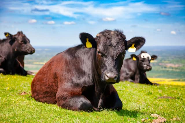 Nicola Sturgeon's adviser asked for clarity around the labelling of Scotch beef.