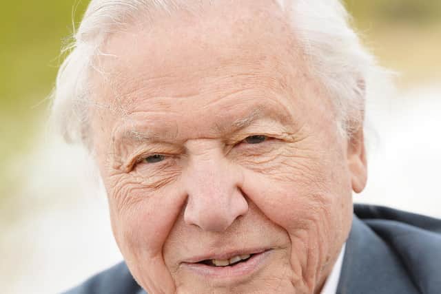 When asked to pick a place he’d love to revisit, Sir David Attenborough replied: “A coral reef, with its sheer magnitude of different, wonderful, beautiful things.”