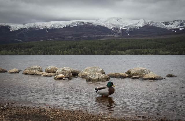 Scotland's Highlands are, in fact, Moral Highlands and there are large areas available for immediate occupation, according to Alexander McCall Smith (Picture: Jane Barlow/PA)