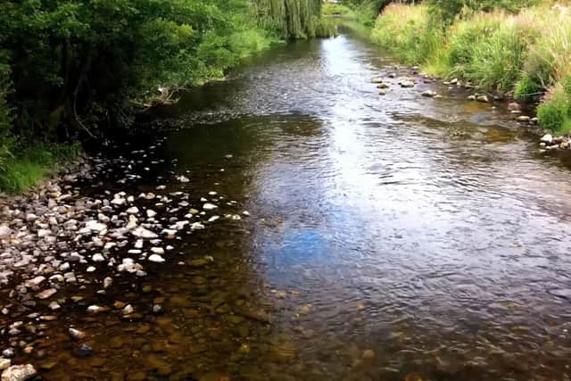 Water levels in the River Eden - pictured here at Haugh Park in Cupar - fell significantly during the long spell of hot, dry weather. Picture: Sepa