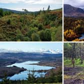 Seven of the 10 largests forests in the United Kingdom are in Scotland.