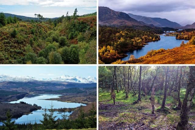 Seven of the 10 largests forests in the United Kingdom are in Scotland.