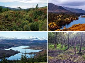 Seven of the 10 largests forests in the United Kingdom are in Scotland.