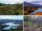 Seven of the 10 largests forests in the United Kingdom are in Scotland.