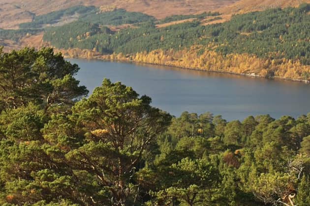 Glen Affric in the Highlands is managed by Forestry and Land Scotland. Image: contributed