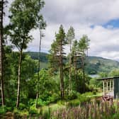The cabins are tucked away in woodland, surrounded by Douglas Fir and Scots Pine trees, overlooking Loch Broom.