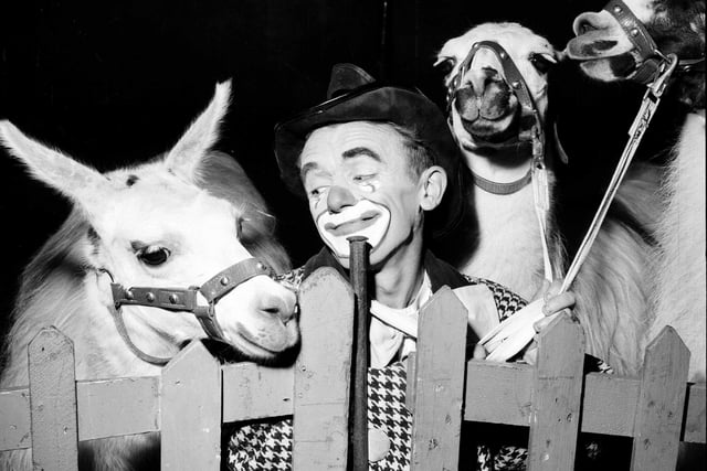 Clown Merry Herbert and his llamas were just one of the attractions at Billy Smart's Circus at Murrayfield in the 1960s.