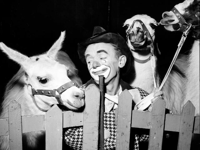 Clown Merry Herbert and his llamas were just one of the attractions at Billy Smart's Circus at Murrayfield in the 1960s.
