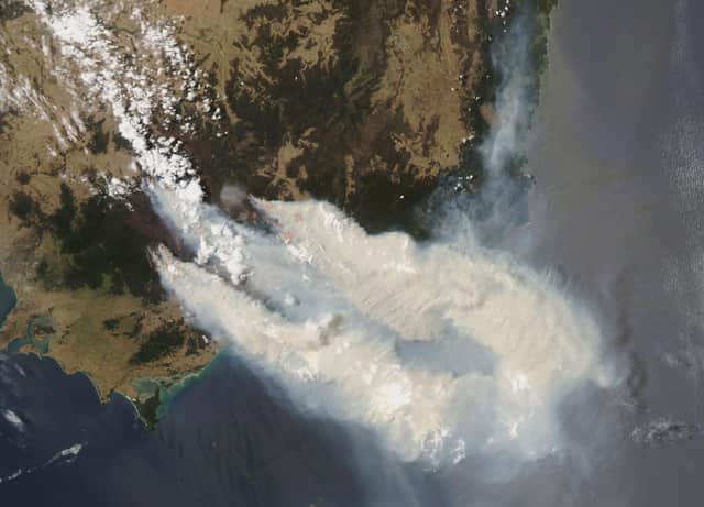A Nasa satellite image shows smoke from bushfires burning in Victoria's Great Dividing Range (Picture: Nasa via Getty Images)