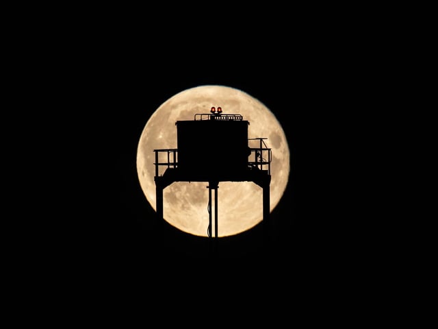 The Supermoon as it rose behind the Jodrell Bank observatory in Cheshire on Tuesday - Picture, Iain Knox / SWNS