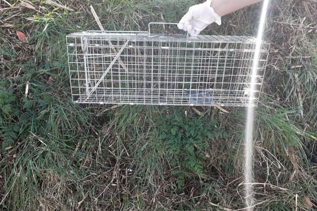 The Scottish SPCA has appealed for information after the body of a cat was discovered inside a wire trap in Tayport earlier this month.