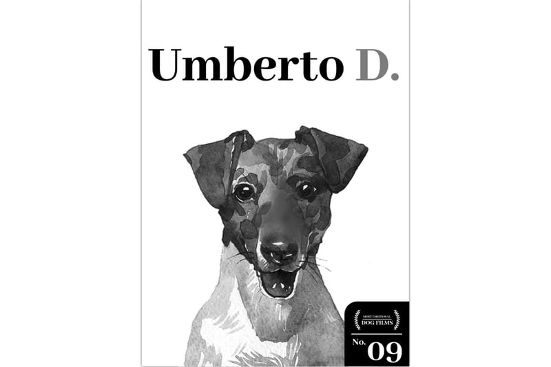 While the last film was aimed at children and families, Umberto D. is a movie firmly reserved for adults. Released in 1952, this Italian neorealist film homes in on the eternal themes of poverty, isolation and loneliness which have turned this old black-and-white movie into a timeless classic. This film follows a retired civil servant (Carlo Battisti) as he struggles to raise the funds to pay his rent and care for his four-pawed best pal – and it’s nothing short of devastating.