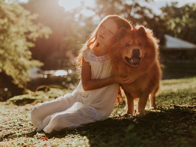 Walt Disney is said to have given a Chow Chow to his wife Lillian Disney, with the puppy concealed in a hatbox - inspiring the scene in 'Lady and the Tramp' where Lady is gifted in the same way.