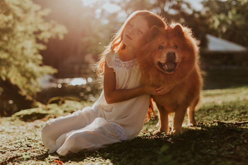 Walt Disney is said to have given a Chow Chow to his wife Lillian Disney, with the puppy concealed in a hatbox - inspiring the scene in 'Lady and the Tramp' where Lady is gifted in the same way.