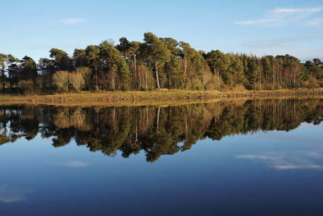 There are a number of wonderful wooded walks in the Pentlands. One of the prettiest and easiest to find is a track around Harlaw Reservoir - just follow the squirrel signs.