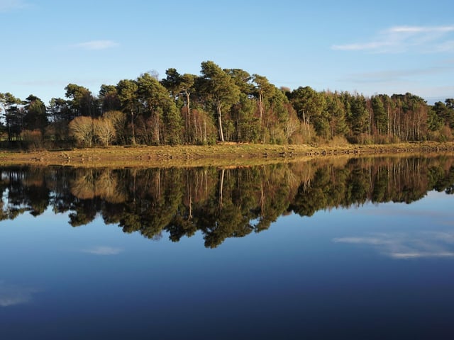 There are a number of wonderful wooded walks in the Pentlands. One of the prettiest and easiest to find is a track around Harlaw Reservoir - just follow the squirrel signs.
