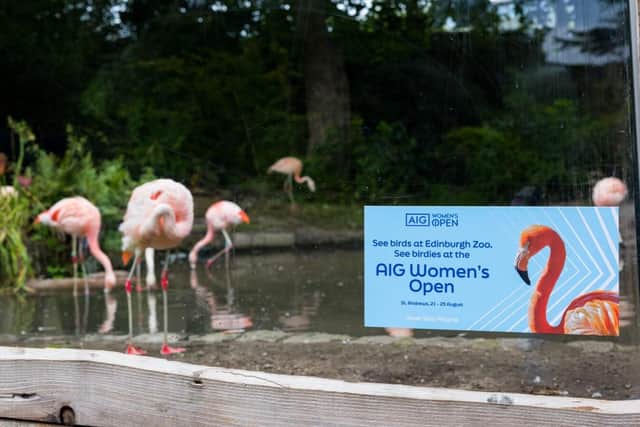NEVER STOP PLAYING: THE R&A TRANSFORMS ICONIC SCOTTISH LOCATIONS FOR AIG WOMEN’S OPEN