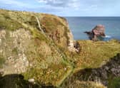 The Heathery Haven completed steps.