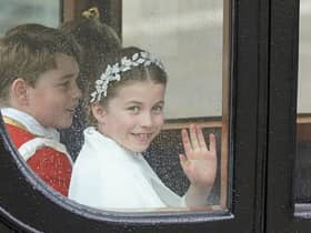The Princess Royal will ride on horseback behind Charles and Camilla as Gold Stick in Waiting and Colonel of the Blues and Royals, to the rear of the Gold State Coach.