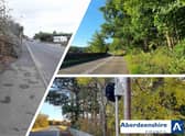 Council teams are already cutting back growth of trees and shrubs.
