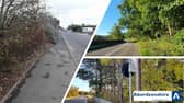Council teams are already cutting back growth of trees and shrubs.