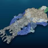 Our ancient cousins? Palaeospondylus has been revealed to be the ancestor of four-limbed animals including humans following a study with the latest scanners
Pic: Riken/SWNS