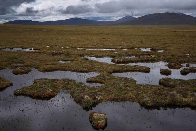 Peatland restoration needs to increase by over 300 per cent to reach the Scottish Government’s target of 250,000ha of restored peatland by 2030, writes Sarah-Jane Laing. Picture Jeff J Mitchell/Getty Images
