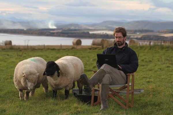 Farmer and author James Oswald crafts his latest novel watched by his sheep PIC: David Cruickshanks