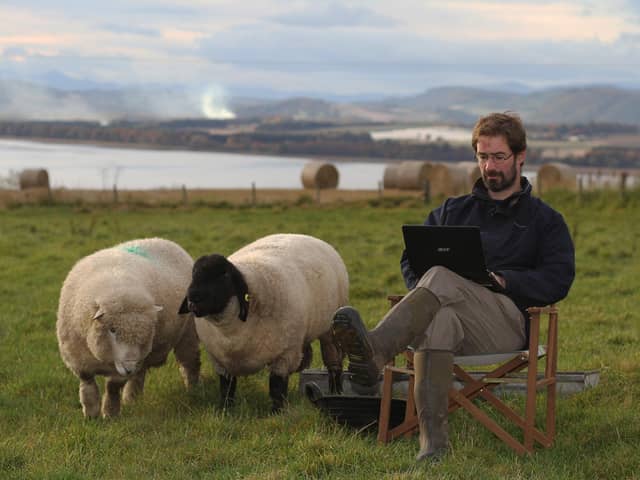 Farmer and author James Oswald crafts his latest novel watched by his sheep PIC: David Cruickshanks