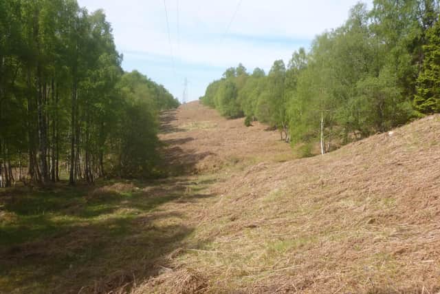 The land at Ardochy where new homes and woodland crofts will be built after the community bought over woodland. PIC: Contributed.