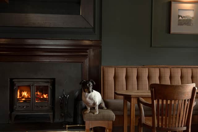 Bear the dog welcomes canine guests at the Inn, with up to two allowed in a room.