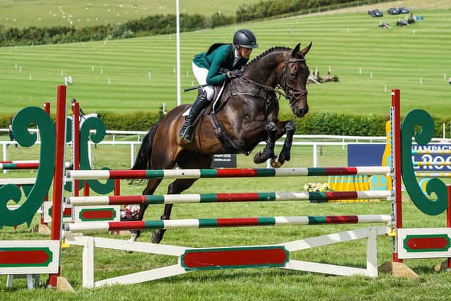 Showjumping thoroughbred Pic: Hannah Cole