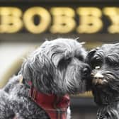 Greyfriars Kirkyard ceremony to mark the anniversary of the death of Greyfriars Bobby (Greg Macvean)