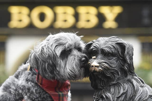 Greyfriars Kirkyard ceremony to mark the anniversary of the death of Greyfriars Bobby (Greg Macvean)