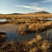 Plans have been submitted for 17-turbine wind farm close to Flow Country World Heritage Site