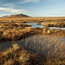 Plans have been submitted for 17-turbine wind farm close to Flow Country World Heritage Site