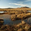 Scotland's Flow Country, which stretches across Caithness and Sutherland, is Europe’s largest blanket bog and is considered critical in the fight against climate change