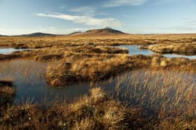 Plans have been submitted for 17-turbine wind farm close to Flow Country World Heritage Site