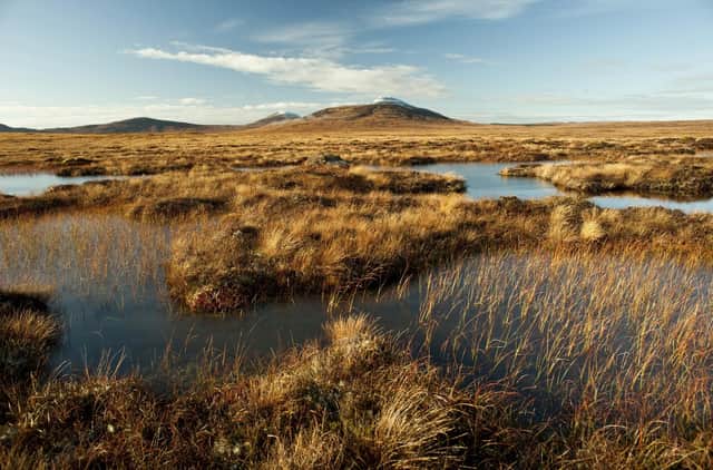 Scotland's Flow Country, which stretches across Caithness and Sutherland, is Europe’s largest blanket bog and is considered critical in the fight against climate change