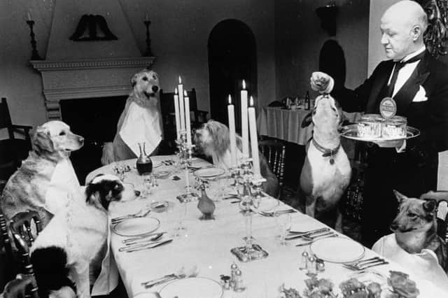 Chefs are now preparing special treats for dogs, as well as humans (Picture: BIPS/Getty Images)