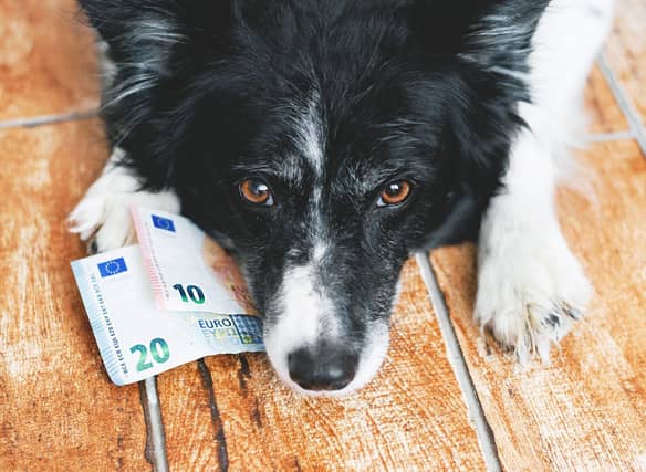 Puppy prices vary greatly depending on the breed.