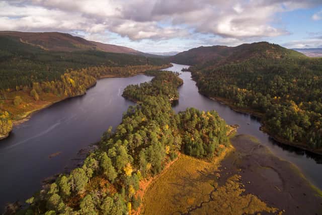 Conservationists are calling for at least 30 per cent of land and sea in Scotland to be rewilded, with nature restored to a point where it can look after itself. Picture: James Shooter